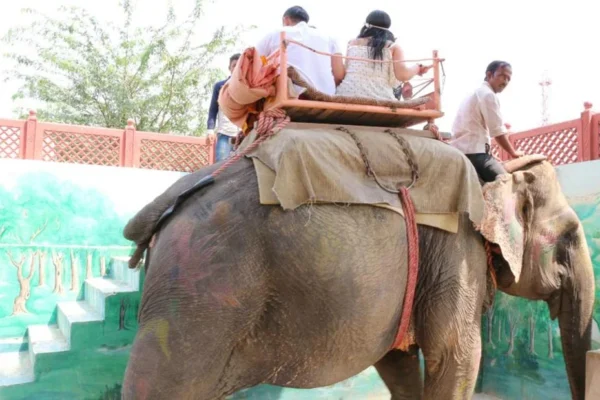 Jaipur Tour From Delhi By Car